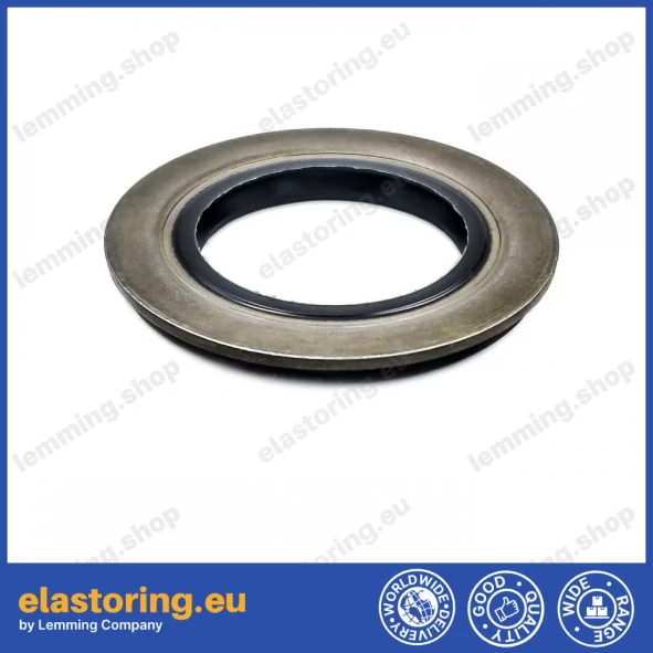 Oil seal 28x47x4,2/5,5 B1SF NBR [34004806]